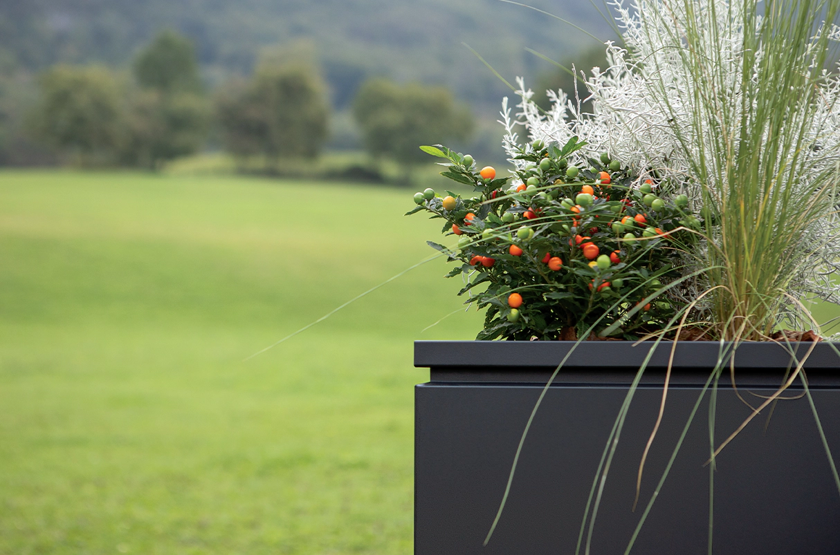 fireproject-outdoor-living-fogher-desydea-tera-6