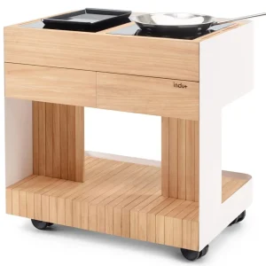 Intas Trolley